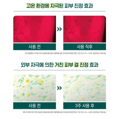 Roundlab 松樹積雪草舒緩安瓶精華 (30ml)