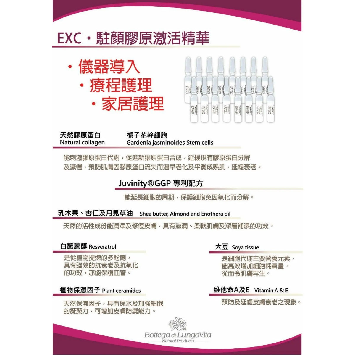 Vita-Age 駐顏膠原激活療程組合 (一盒6次）